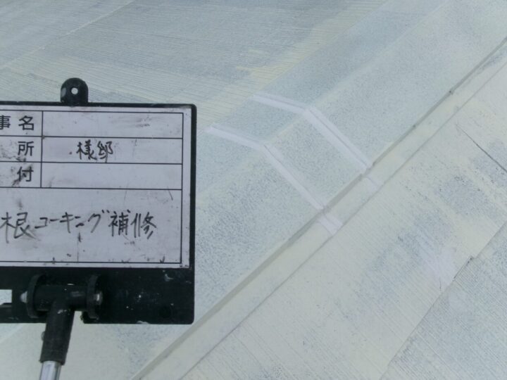 屋根コーキング処理後